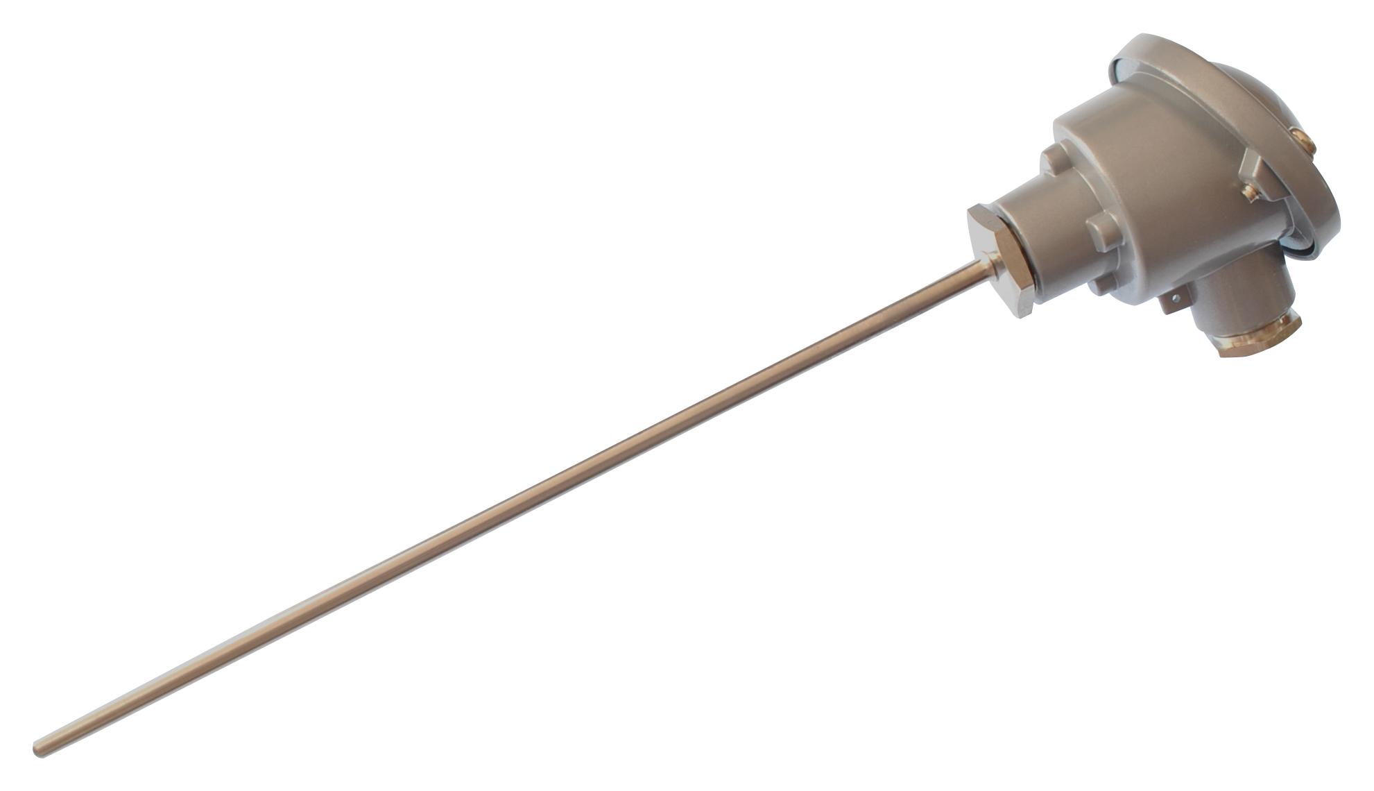 Labfacility Xf-962-Far Resistance Thermometer, Pt100, 250Mm