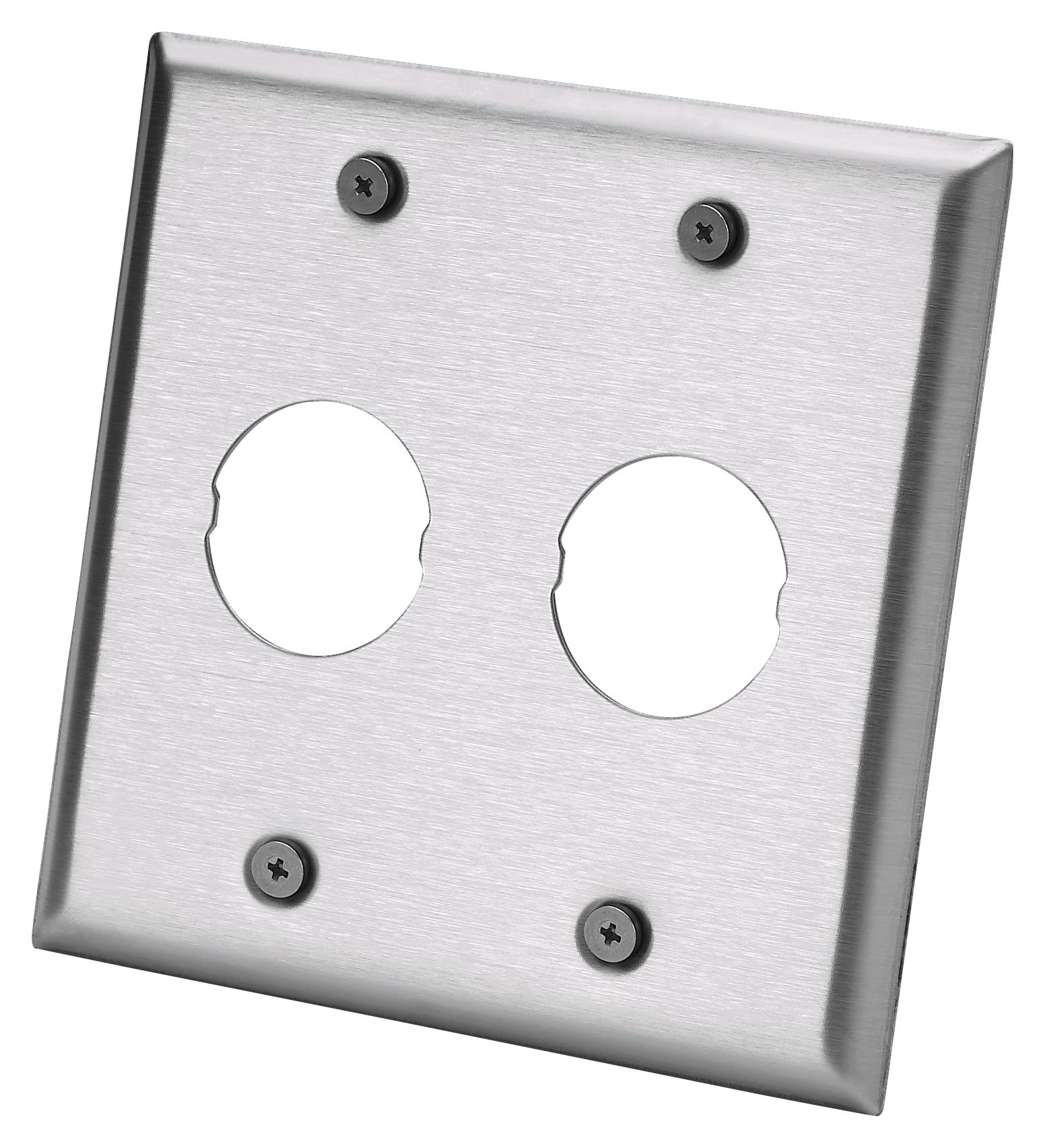 Panduit Iaefp2-2G Bulkhead Faceplate, Ss, Natural