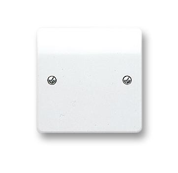 Honeywell K3827Whi Blank Plate