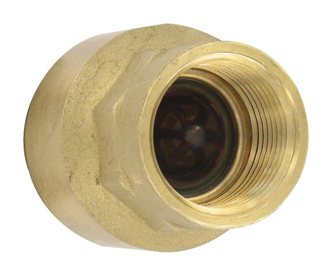 Dwyer Bicv-0F02 Brass Inline Check Valve, 12 Connecti