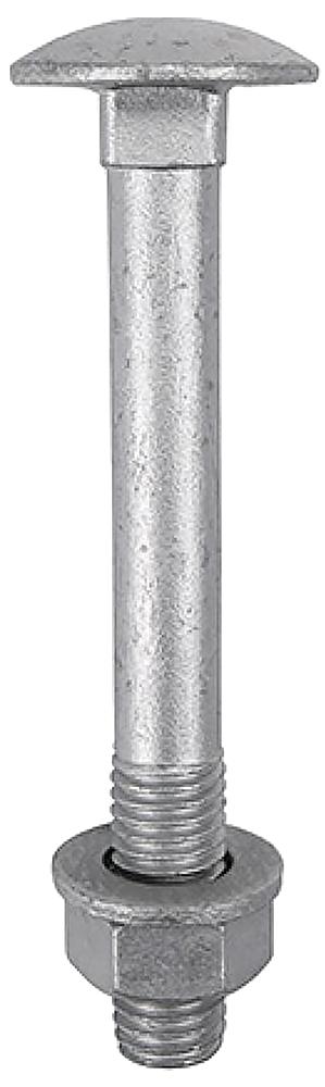 Timco 08100Cbi Carriage Bolt Exterior So M8X100Mm 10Pk