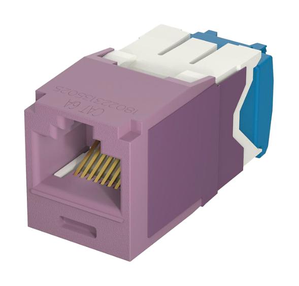 Panduit Cj6X88Tgvl Rj45 Conn, Jack, 8P8C, 1Port, Violet