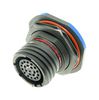 AMPHENOL LTD D38999/24FJ8PN-LC