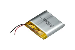RENATA ICP582930PR-01