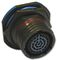 AMPHENOL LTD D38999/24FJ29PA