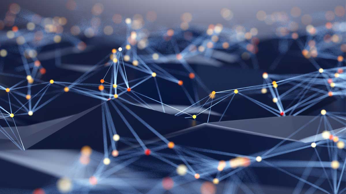 Connectivity Evolution